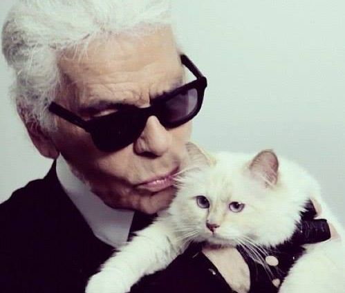 choupette gatta Lagerfeld