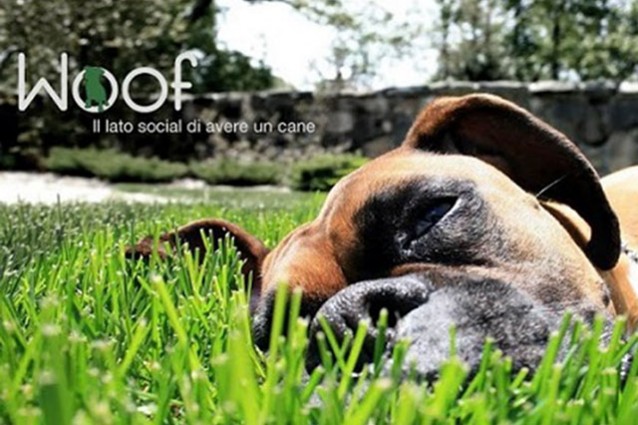 cani primo mobile social network Woof