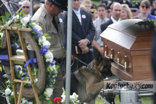 cane poliziotto accarezza bara compagno