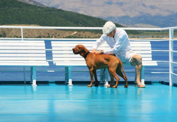 cani traghetto promozioni