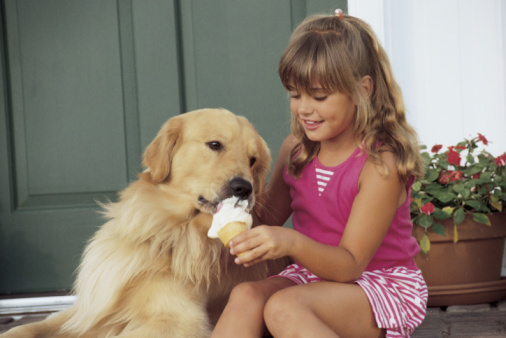 Venditori ambulanti di snack per cani