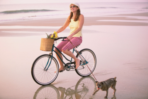 Cane condotto in bicicletta