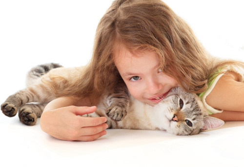 Gatti bambini possono convivere serenamente