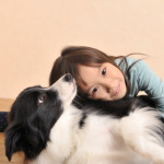 Border collie e bambini