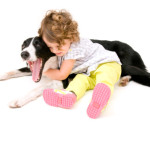 Border Collie e bambini