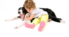 Border Collie e bambini