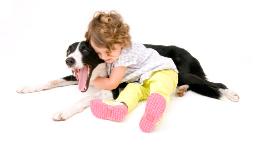 Border Collie e bambini