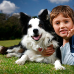 Border Collie e bambini