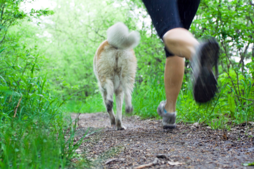 Cani e proprietari a dieta