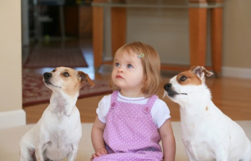 Jack Russel e bambini