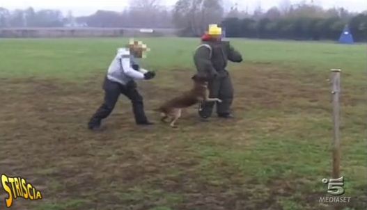 cane frustato campo addestramento video Striscia Notizia