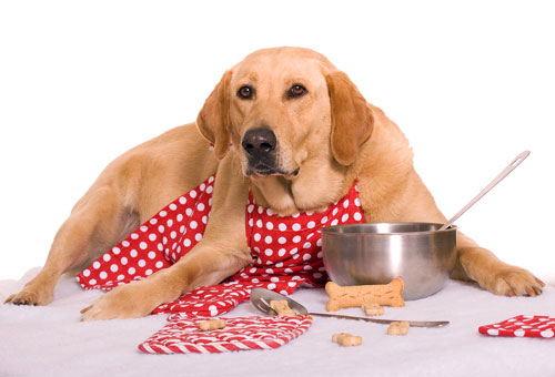 Cucina salutista per animali domestici