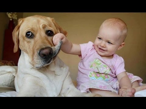 Cani fanno ridere bambini VIDEO