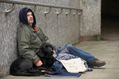cani e senzatetto