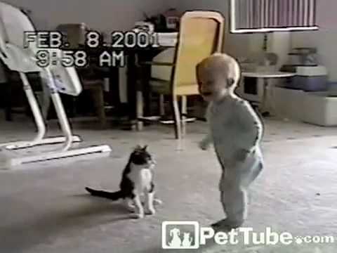 Gatto VS bambino VIDEO