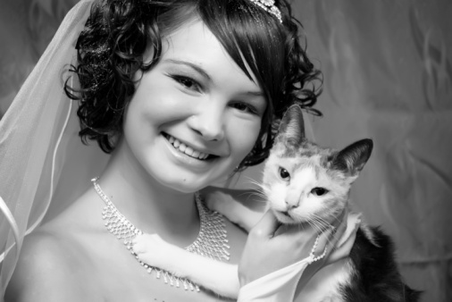 Wedding cats