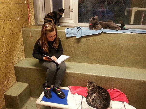 bambini leggono ai gatti