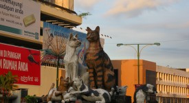 5 foto destinazioni amanti gatti