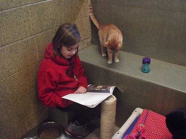 Bambini leggono ai gatti