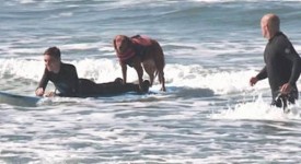 cane ragazzo paralizzato insieme surf (FOTO)