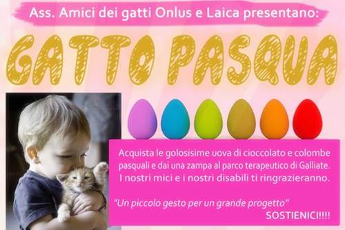Uova Pasqua aiutare Parco Gattile Terapeutico Galliate