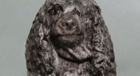 cani bagnati foto