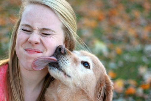 Foto cani da abbracciare