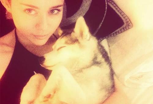 Miley Cyrus disperata perdita cane Floyd