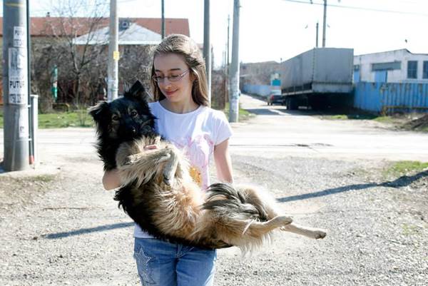Cani randagi Romania salvati ragazzina 13 anni