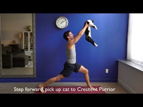Video come fare yoga gatto
