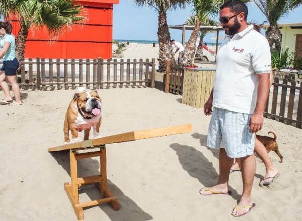 Rimini Dog No Problem spiaggia vietata senza cani