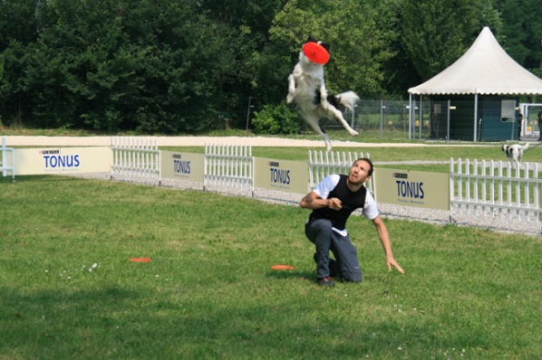 Tonus Disc Dog