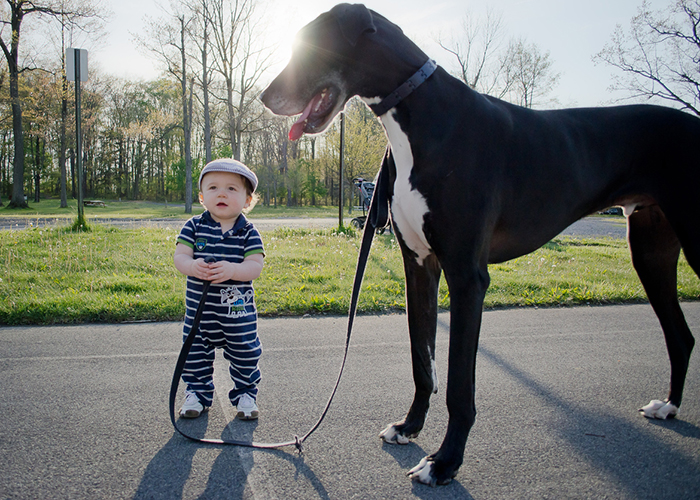 Cani e bambini