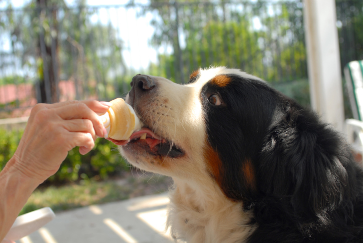 ghiacciolo alla fragola