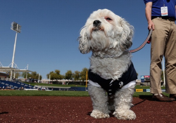 San Diego Padres v Milwaukee Brewers