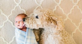 Cani e bambini