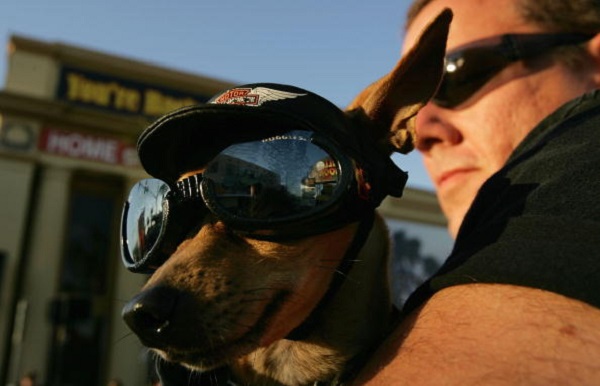 Bike Week Gets Underway In Daytona Beach