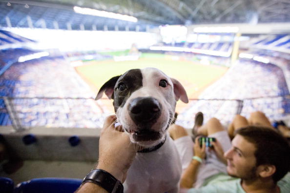 New York Mets v Miami Marlins