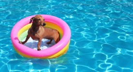 piscina