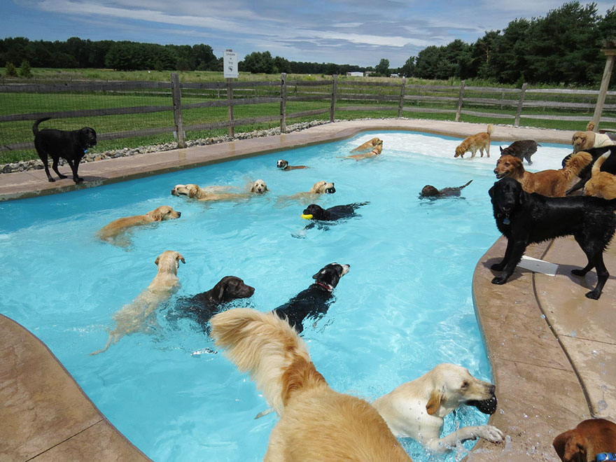 Pool party