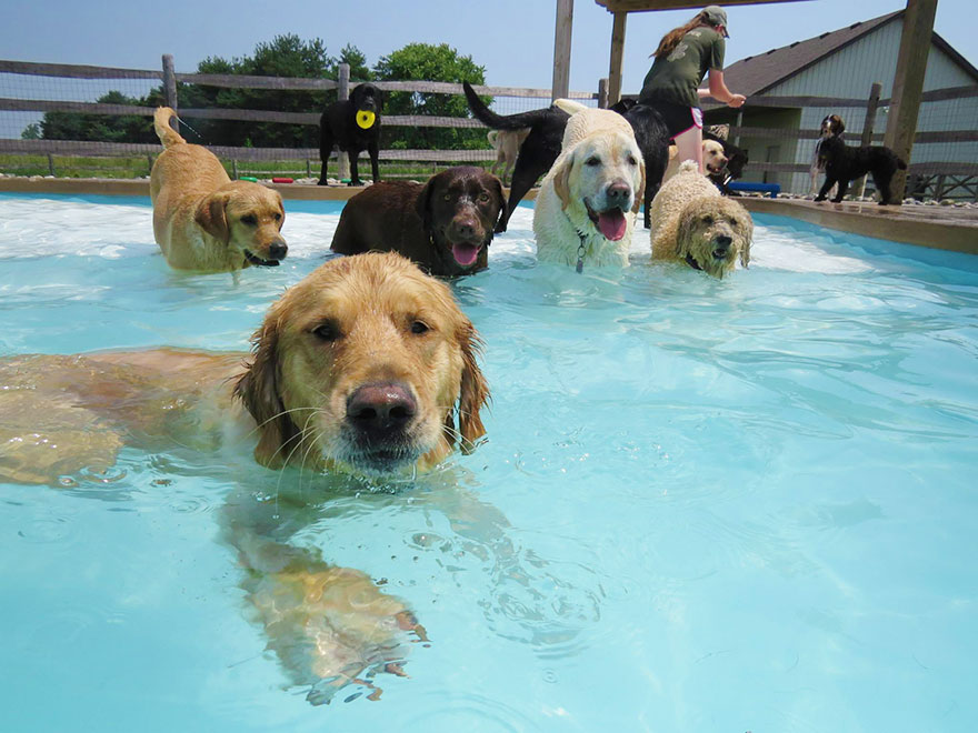 pool party