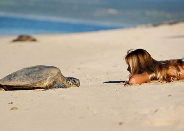 tartaruga ragazza spiaggia