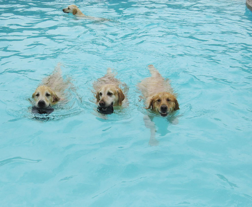 Pool party