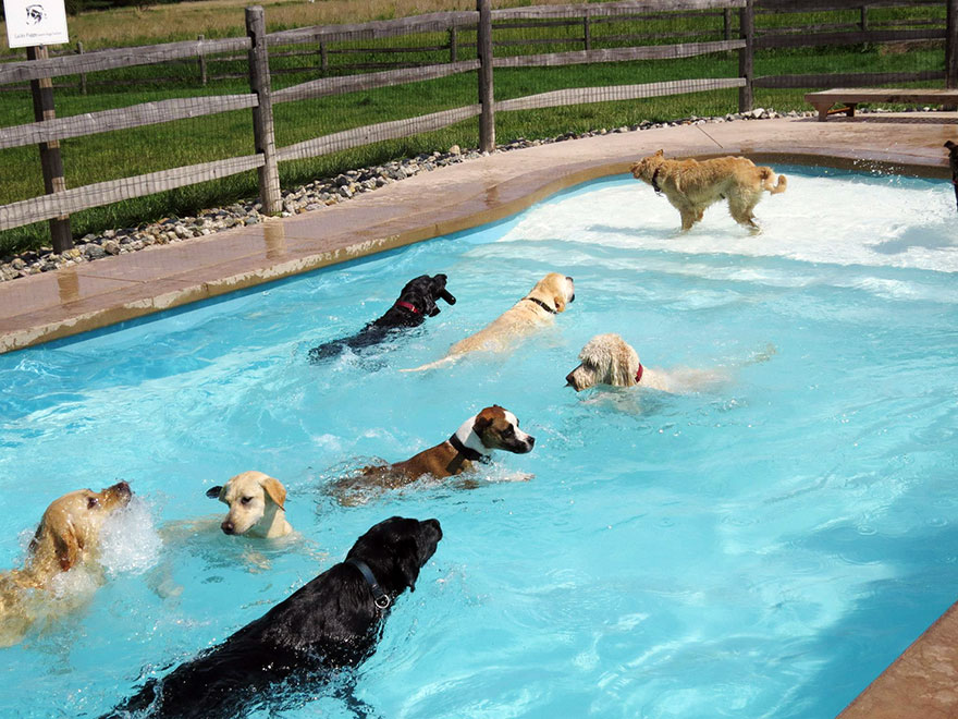 pool party