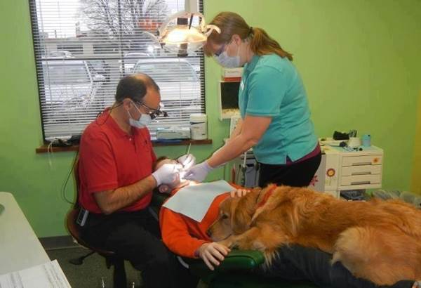 Brooke dal dentista con il paziente