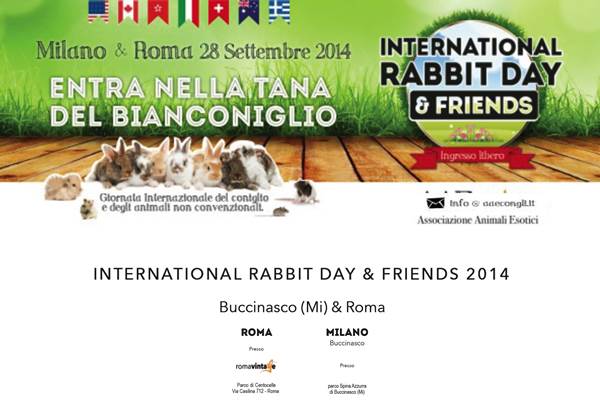 International Rabbit Day & Friends