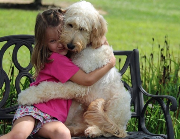 Abbracci tra cani e umani