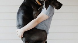 Abbracci tra cani e umani
