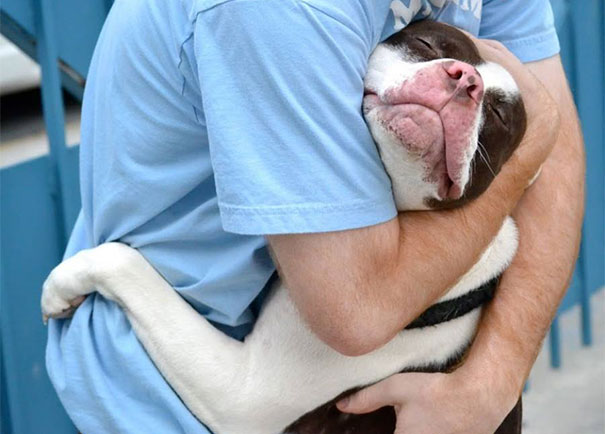 Abbracci tra cani e umani