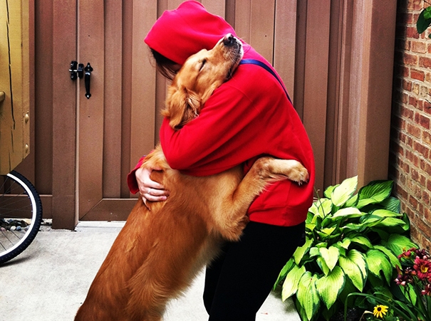 Abbracci tra cani e umani